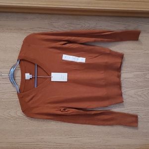 NWT vneck sweater